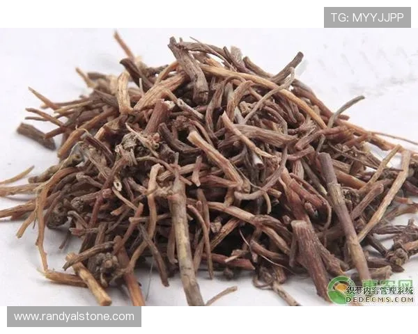 凯发旗舰厅官方网站下载手机版，最新版本下载安装指南详解